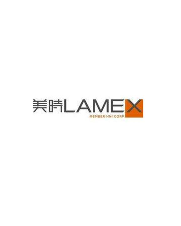 Lamex use case